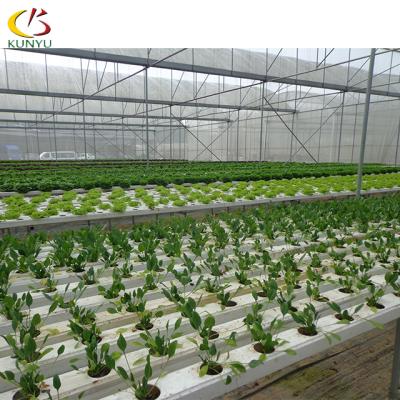 China Hydroponic Promotion Soilless Cultivation and Hydroponic Substrate System Planting PVC Gutter for Greenhouse Melons Farming for sale