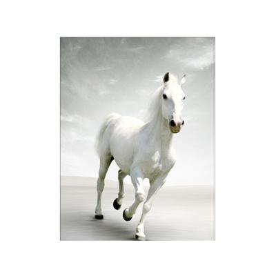 China China Hot Sale 8 Horses 3D Lenticular Pictures For For Gift Home Decoration 30*40 Printing 3d Poster en venta