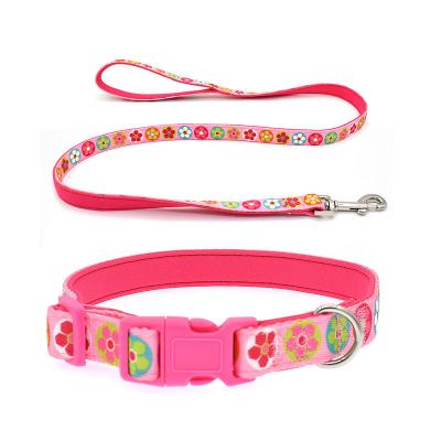 China Hot Custom Padded Nylon Training Strap Transfer Pattern Pet Collar For Puppy Doggie for sale