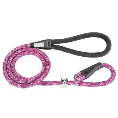 China Thoughtful Durable Working Strong Slip Rope Lead Dog Leash And Collar Combo for sale