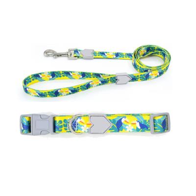 China Soft Lightweight Durable Padded Patterned Comfortable Adjustable Nylon Strap Dog Collar And Leash Set for sale