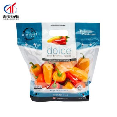 China Custom Food Printing Plastic Heat Seal Vegetables And Fruit Packaging Ziplock Bag With Handle for sale