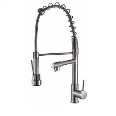 China Pull Out Spray Hot sale high standard spring tension stainless steel dual kitchen faucet for sale