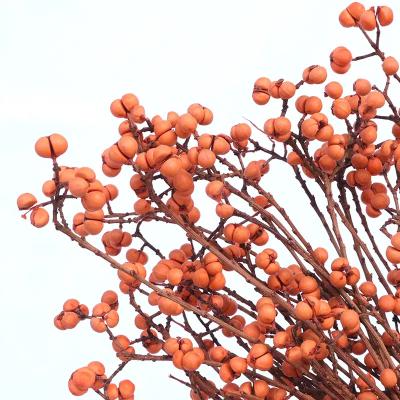 China High Quality Natural Flower Small Flower Dried Floral Natural Tallow Berry Bunch For Decoration for sale