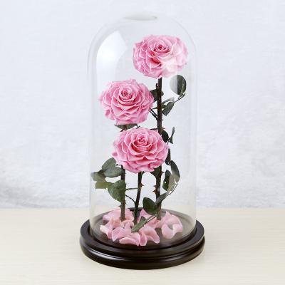 China Real Romantic Preserved Flower Amazon New Design Stabilized Roses In Glass Dome Prince Series Three Rose For Decoration for sale