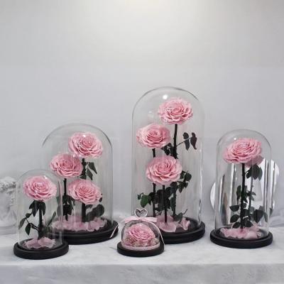 China Natural Long Lasting Forever Preserved Rose In Glass Dome Pink three roses for decoration for sale