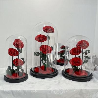 China Romantic Gorgeous Preserved Roses Hot Sale Stabilized Roses Rose In Glass Dome Prince Series Preserved Red Roses For Gift for sale