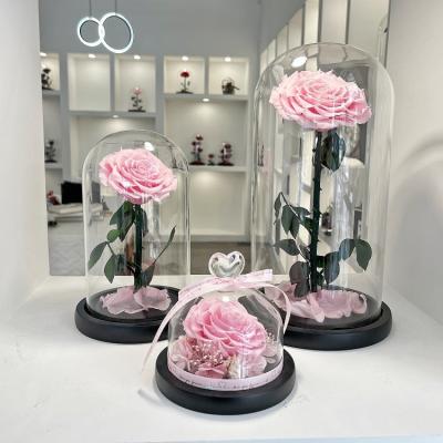 China Rose Forever Flowers Prince Series Natural Rose In Glass Dome Pink Eternal Rose For Decoration for sale