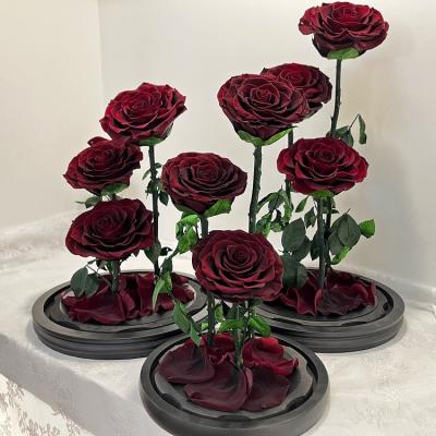 China 2022 Wholesale Three Roses Long Lasting Natural Rose Preserved In Glass Dome For Decoration Gift for sale