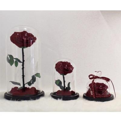 China Natural Hot Sale Long Lasting Rose Preserved Burgundy Rose Series Of Rose In Glass Dome Prince For Decoration for sale