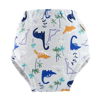 China Breathable Washable Reusable Baby Pants Cloth Training Diapers Waterproof Materials for sale