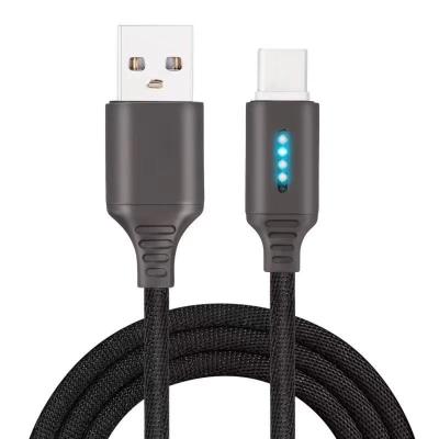 China New Design Marquee LED USB Charging Marquee Fast Run LED Light Glowing Cable for sale