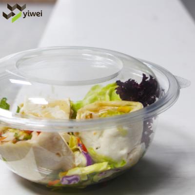 China High Quality Single Wall Plastic Disposable Container PET Food Container Clear Plastic Disposable Fruit Salad Container for sale