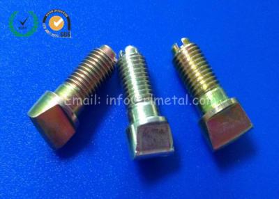 China Stainless Steel Custom Fasteners Screws For Auto Vehicle Fuel System for sale