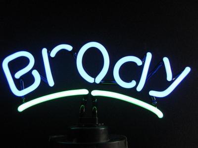 China Energy Saving 12v 100x40cm Flexible Led Bud Custom Neon Signs for sale