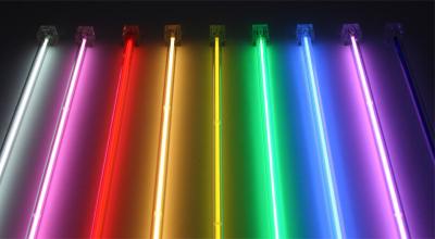 China High Brightness Personalized 12V Tube Neon Lights Birthday Party Dia 6-20mm for sale