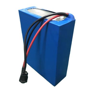 China Toys 48V 1000W Lithium Battery Pack 20Ah For Electric Bicycle for sale