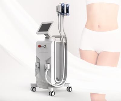 China Cryolipolysis Slimming Laser Beauty Machine Vacuum Cryo For Body Slimming for sale