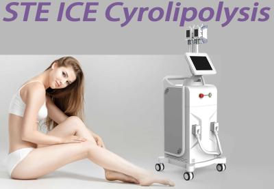 China 3 Handles Body Slimming Fat Freezing Machine Coolsculpting Equipment Vertical Type for sale