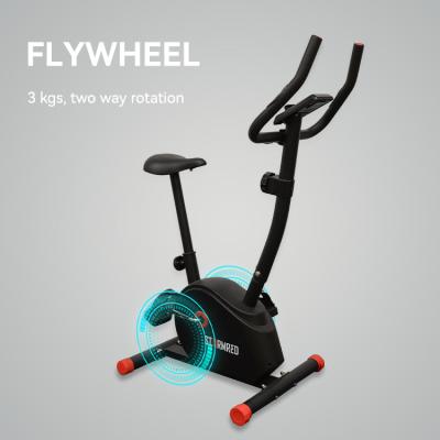 China Home Exercise Bike Fitness Training Bike Adjustable Upright Program System Magnetic Rotation Exercise Bike Universal for sale