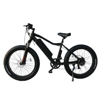 China Aluminum Alloy Motor Two Rear Wheels Vintage Woman Ladies Electric Bike Aluminum Alloy Ebike For Adults 750W Wide Tire Cross Country Bicycles for sale