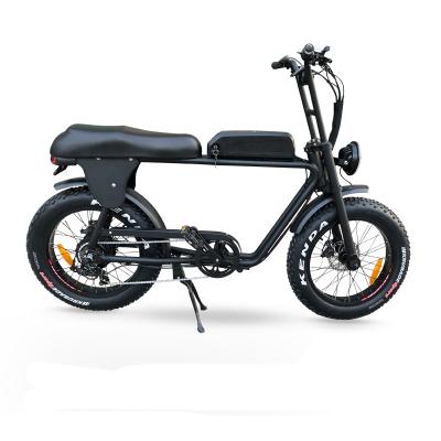 China Electric Bike Fat Tire 2 Seater Aluminum Alloy 36V 48V Hub Motor 250W 1000W Electric Bike LED Light Two Seat Ebike for sale