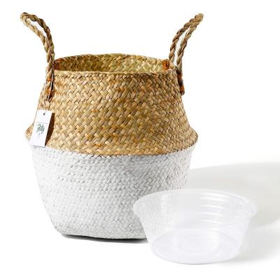 China Modern Design Minimalist Natural Plant Plankton Handmade Wicker Open Plastic Rattan Straw Storage Basket for sale