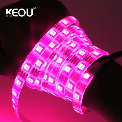 China RGB factory price new 10m smd5050 IP54 waterproof led strip lights smart strip led lights with rgb for sale