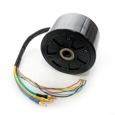 China RC Hobby Maytech Design Your Own Skateboard Wheel Motor bldc hub motor 9055 100KV for electric skateboard longboard e skateboard for sale