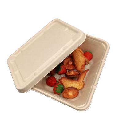 China Disposable Eco-Friendly Biodegradable Wholesale Fast Food Sugar Cane Container Eco Friendly Box With Lid for sale