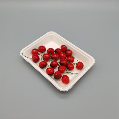 China Disposable Customized Biodegradable Dish Tray Sugarcane Tray Food Sugar Cane Container for sale