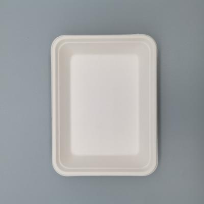 China Rectangle Disposable Sugar Cane Bagasse Biodegradable Food Tray Disposable for sale