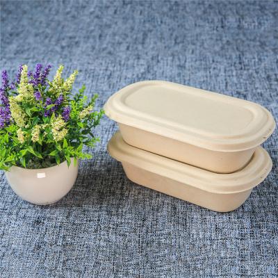 China 1000ml Bagasse Rectangle Container Rectangle Lunch Dish Eco-Friendly Biodegradable Soup Bowl for sale