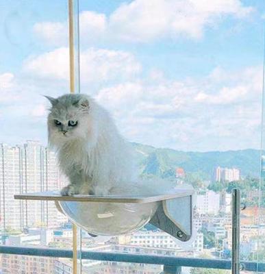 China Space Saving Cooling Cat Bed Cat Hammock Window Mounted Seat Cat Window Perch for sale