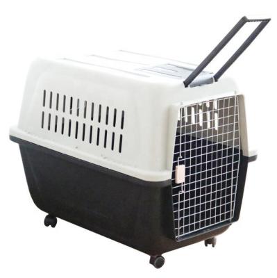 China Breathable Plastic S, M, L, XL, XXL Dog Crate Pet Carrier Dog Flight Case On Wheels for sale