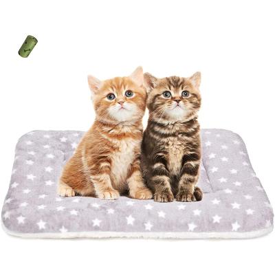 China Ultra Soft Waterproof Pet (Dog/Cat) Bed Mat With Pad Cute Reversible Washable Pet Dog Crate Kennel Crate Print Pet Crate Liner for sale