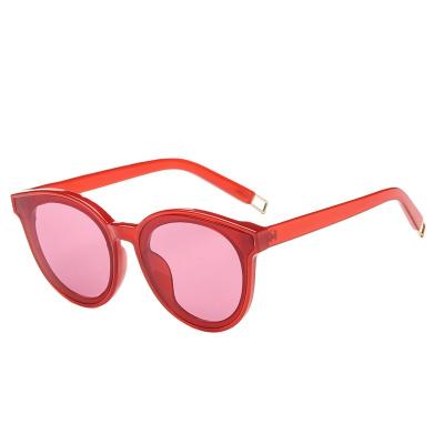 China Custom Rectangle OEM Fashion TR Light Weight Korean Round Face Fashion Sunglasses for sale