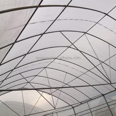 Cina Serra mono strato IGreen Multispan di pellicola di plastica per altezza delle spalle 1,8-2,5 m in vendita