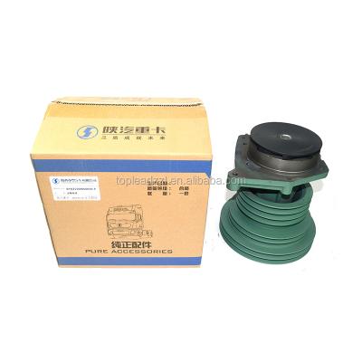 China Steel Shacman Truck Spare Parts UAE PUMP Shacman Truck Parts VG1500060050 for sale