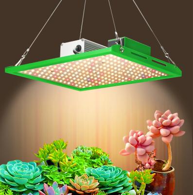 China Seed Starting 110w 160w Vertical Agricultural Full Spectrum Led Grow Light Aluminum Board Led Grow Light For Indoor Plants for sale