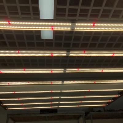 China Seed Starting 8 Bars 720W Full Spectrum Ppfd High Commercial Hydroponic LED Greenhouse Grow Light for sale