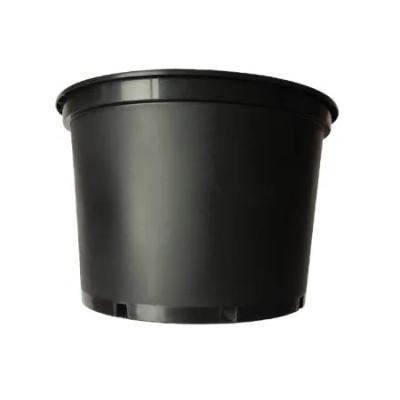 China Non-Toxic And Durable 5 Gallon Nursery Container Economic Plastic Black Gallon Pot Flower Pot Plant Pots for sale