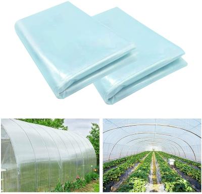 China High strength to withstand strong wind 17 years factory supply direct LDPE greenhouse film for greenhouse hydroponics for sale