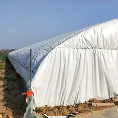 China Blackout Opaque Professional Manufacturer White Polyethylene Plastic Tarps Roll for sale