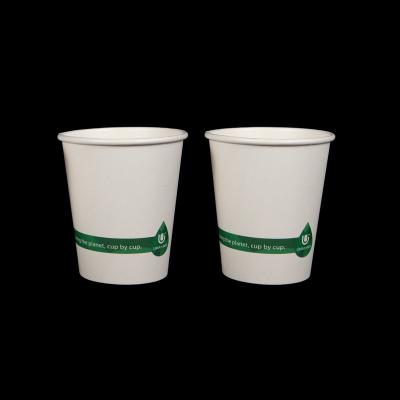 China 8oz Biodegradable Flexo Printing 100% Biodegradable Water Based Coating Coffee Paper Cup for sale