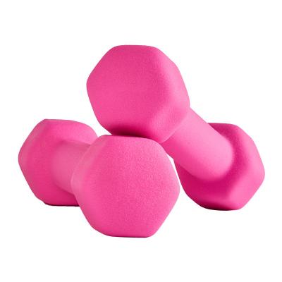 China Hex Dumbbell Woman Fitness Scrub Round Hex Cast Coated Dumbbell Set for sale