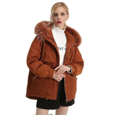 China Wholesale Fashion Fur Collar Women Winter Hooded Coat Down Jacket Clothes for sale