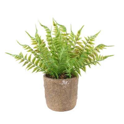 China Art Decor Artificial Fern Bonsai Simulation Small Evergreen Bonsai Trees For Home Decor for sale