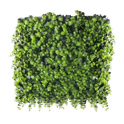 China Art Decor 20x20 Inch Fake Green Grass Plastic Boxwood Hedge Artificial Wall Panel For Hotel Decoration for sale