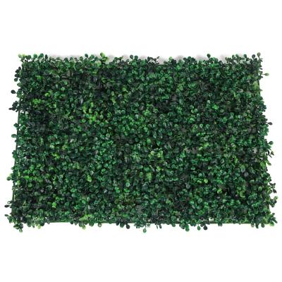 China Art Decor Anti UV Artificial Grass Hedge Plant Green Foliage Wall For Wall Decor for sale